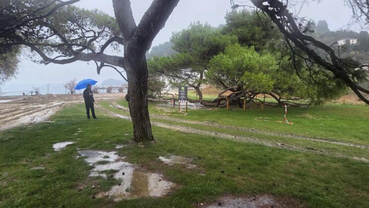 589446097 892983900344333 7639753601922524559 n