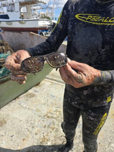 Pri ciscenju so skrbno pregledali vsak predmet in organizme ki so se v njem naselili in jih kjer je bilo mogoce vrnili v naravno okolje Large