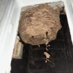 Primite se za gumb – govori dimnikar Tomaž! 15 image00006