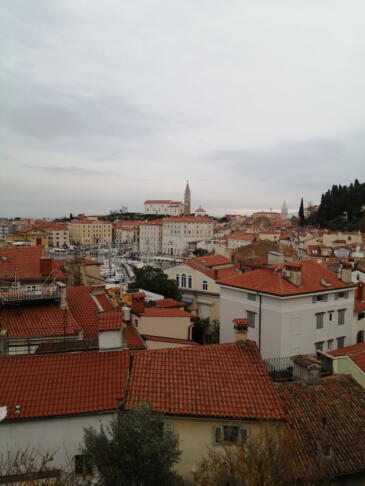 Primite se za gumb – govori dimnikar Tomaž! 8 image00014