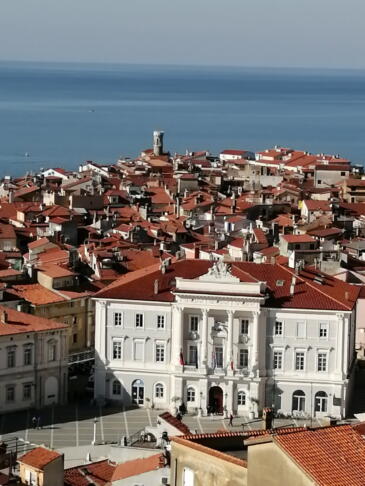 Primite se za gumb – govori dimnikar Tomaž! 6 image00021