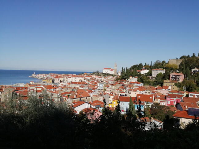 Primite se za gumb – govori dimnikar Tomaž! 4 image00024