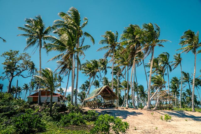 jarno colijn S2fycLbjBQA unsplash