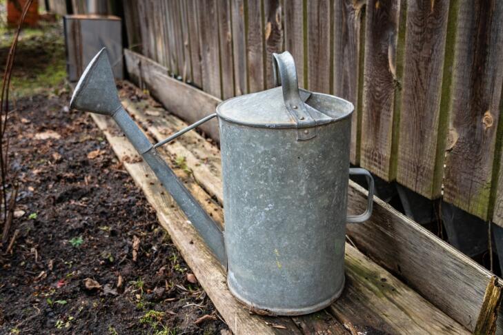 watering can 4977906 1280