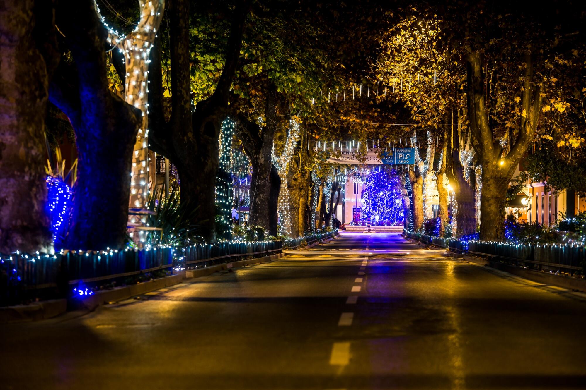 592869688 1341782104654983 6523003806004327706 n