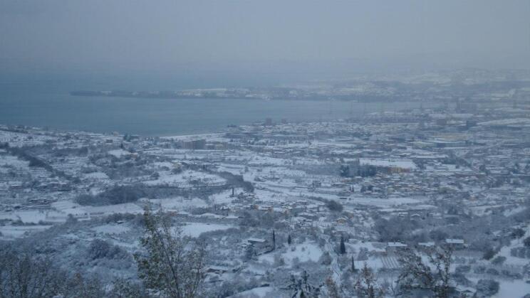 594770259 1395477319254394 3204049913905092520 n