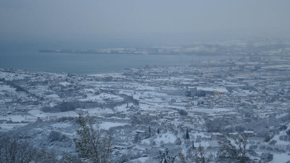 594770259 1395477319254394 3204049913905092520 n