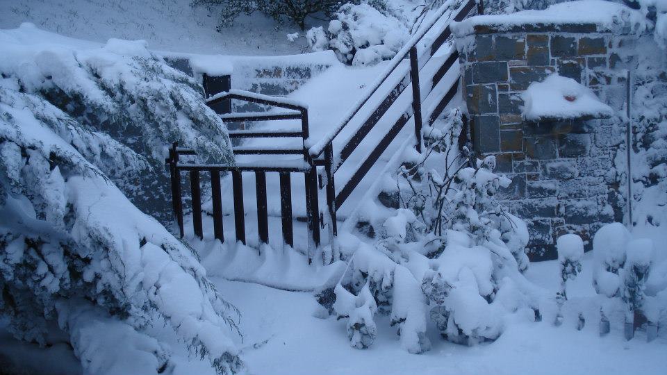 Na današnji dan pred 13 leti je Primorsko pobelil sneg (FOTO) 4 597398839 1395477312587728 1367148327645700690 n