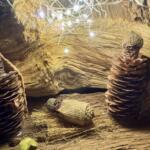 FD48B810 F652 473B B5AF C57FDF9552A6 1