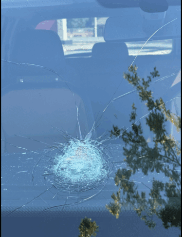 23-letnik z vozilom v drevo, nato pa 20 metrov v globino 2 drevo