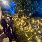 Posnetek zaslona 2025 12 27 222729