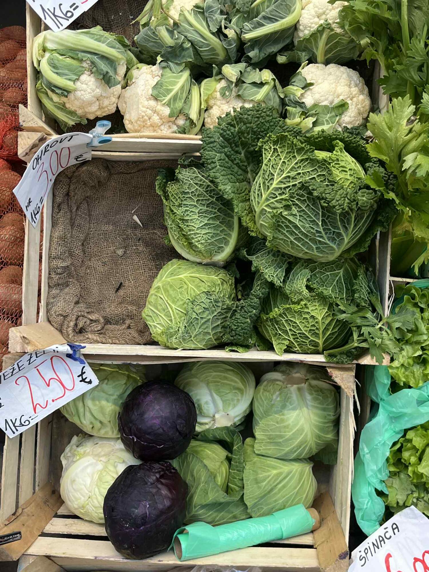 Zimski sprehod po koprski tržnici: kaj vse je na stojnicah (FOTO) 5 Unknown 10