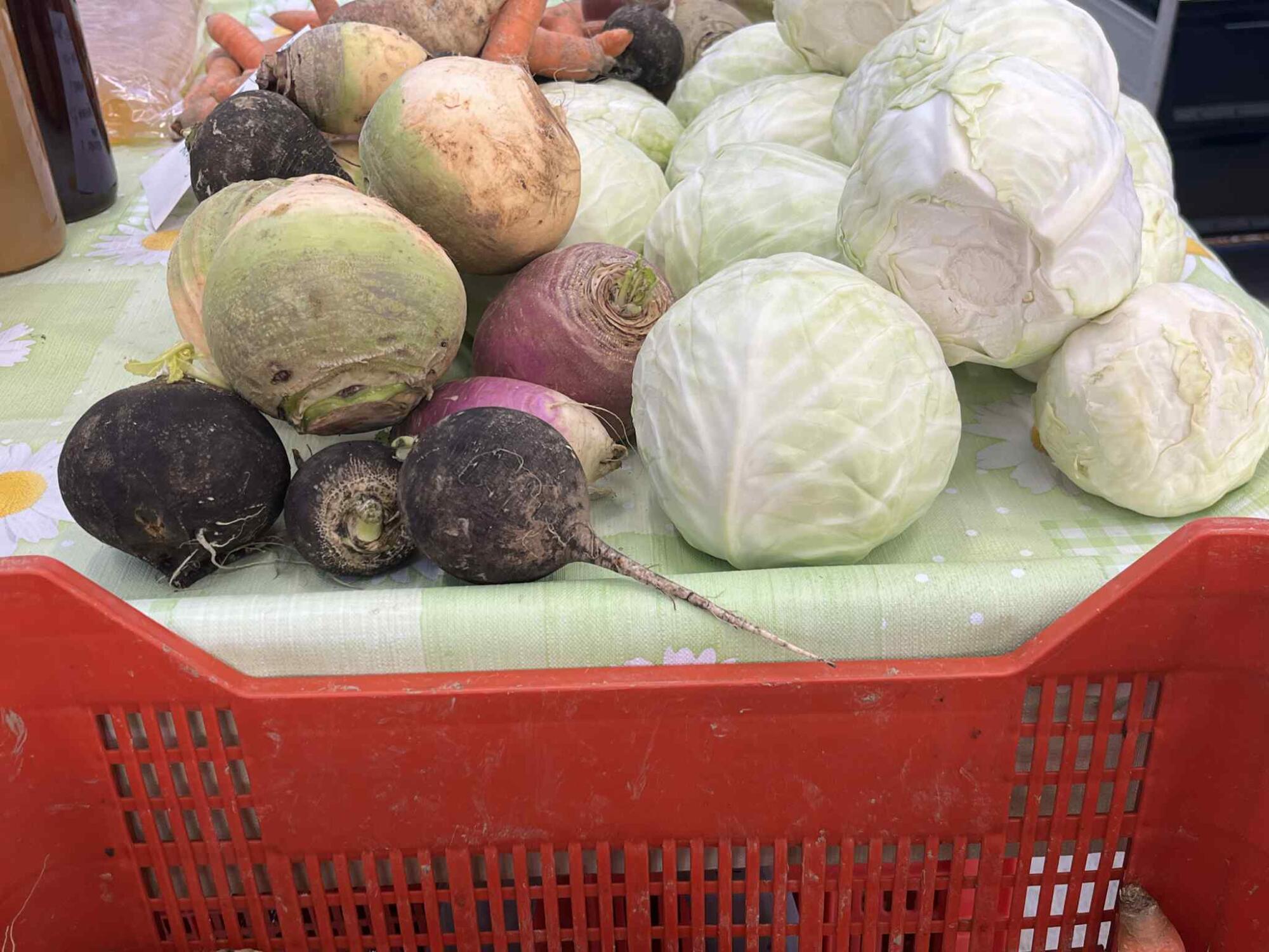 Zimski sprehod po koprski tržnici: kaj vse je na stojnicah (FOTO) 3 Unknown 15