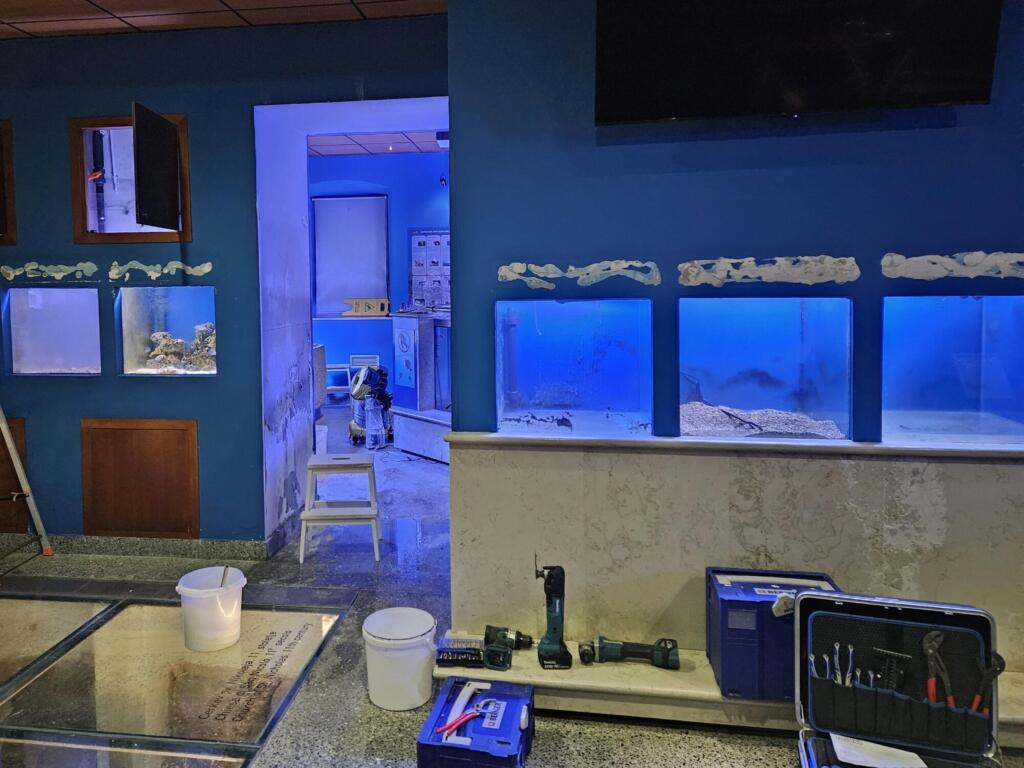 610665434 1452761966518985 7223948737765580652 n