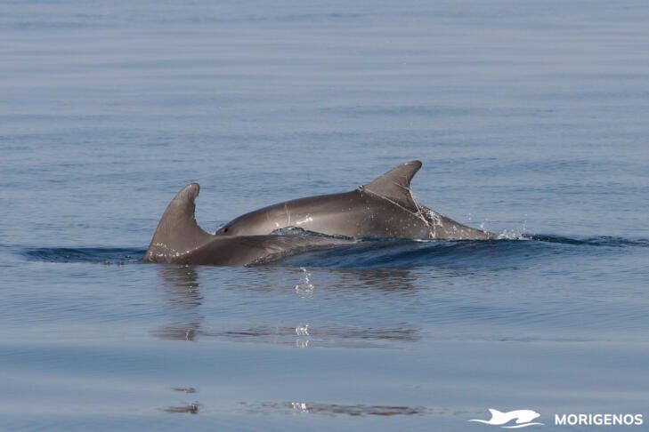 616392978 1341069701396218 4909245124862474185 n