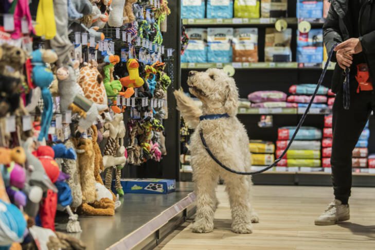 ZOOCITY – GLAVNO MESTO HIŠNIH LJUBLJENČKOV 3 DSC6071