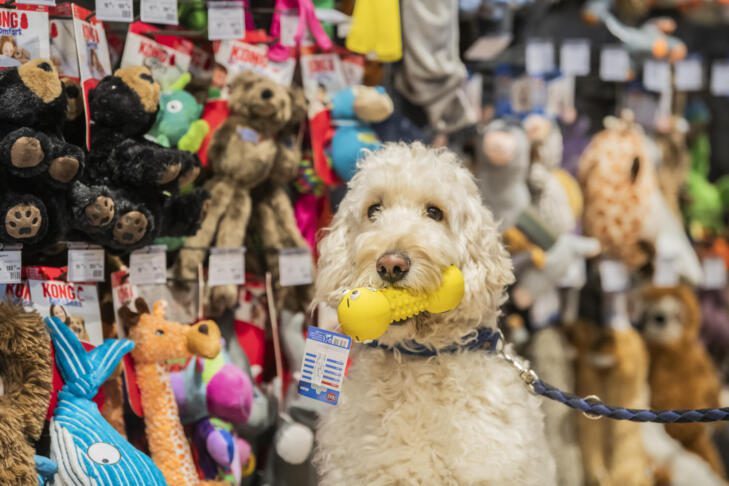 ZOOCITY – GLAVNO MESTO HIŠNIH LJUBLJENČKOV 5 zoocity