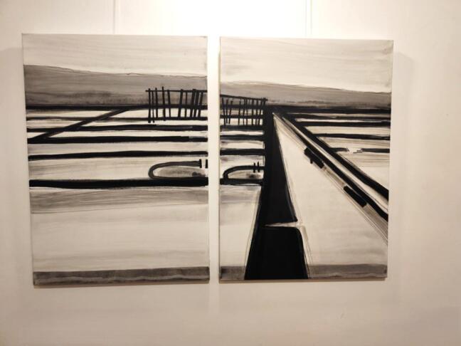 Fulvia Zudič: Z razstavo Izhlapevanje je želela iztrgati pozabi vsaj delček solin 2 fulvia zudič soline