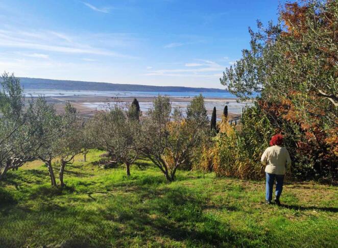 Fulvia Zudič: Z razstavo Izhlapevanje je želela iztrgati pozabi vsaj delček solin 5 Fulvia Zudič soline