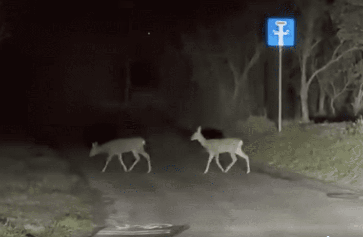 Screenshot 2026 01 16 at 11.56.50