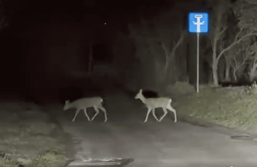 Screenshot 2026 01 16 at 11.56.50