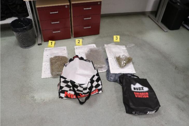 Trava Dragonja 13012026