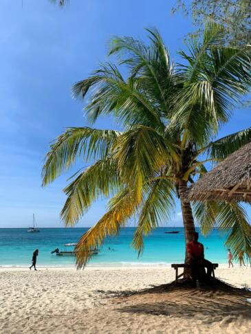 aleksandra yartseva H3S8w7T1ai0 unsplash