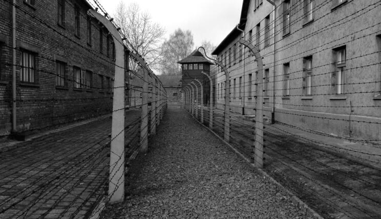 auschwitz taborišče