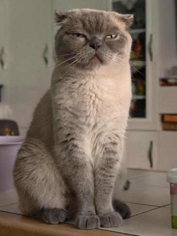 pexels serkan gundogdu 2154594086 33304900