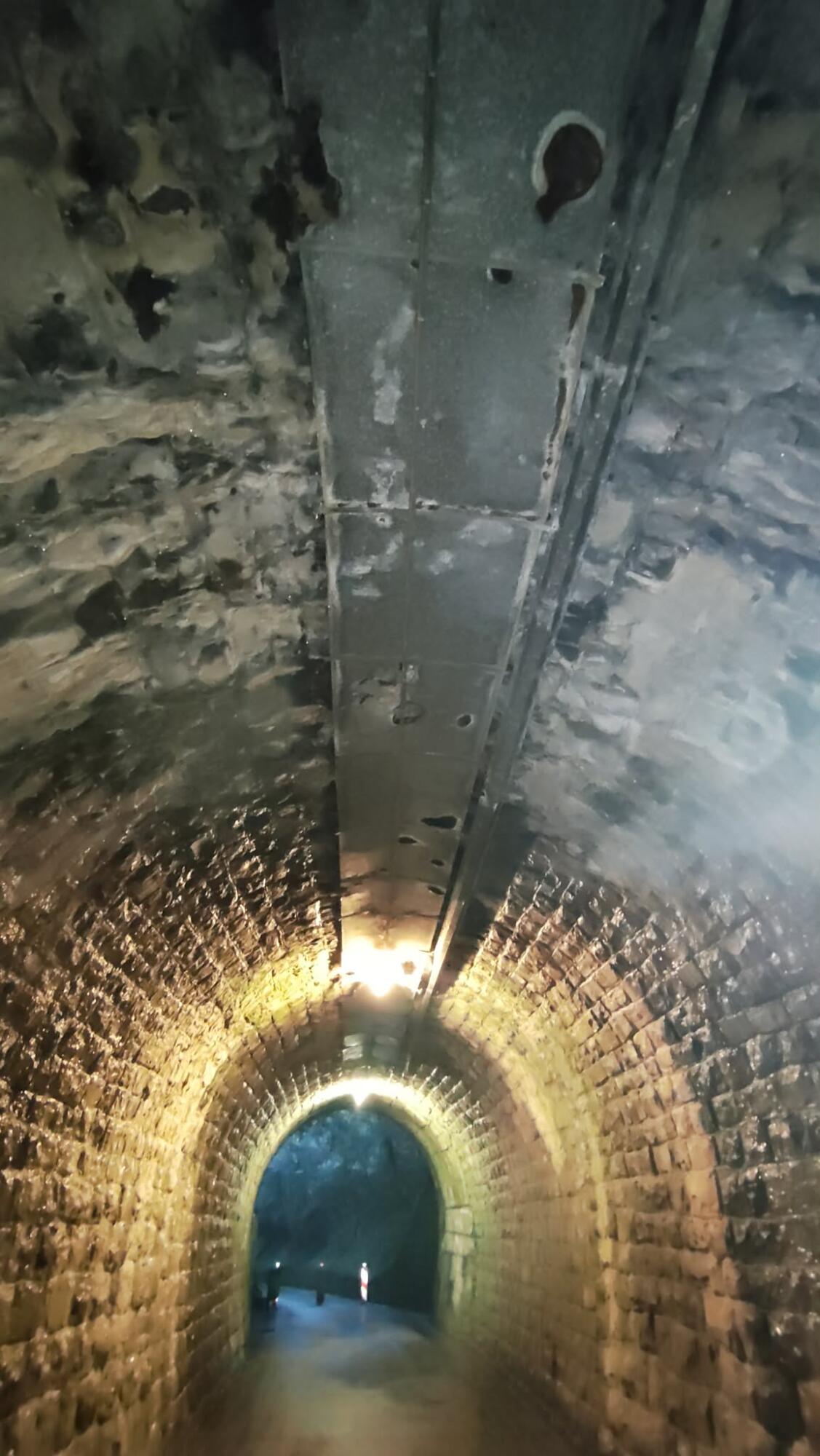 632267424 1342605467904456 7829414434816765277 n