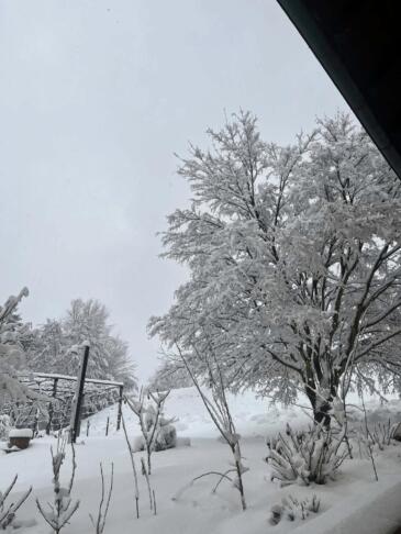 Na Štajerskem izredne razmere (FOTO/VIDEO) 2 637640077 1468713601934527 5107080984360829072 n