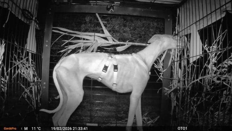 639698461 1506596411473163 4162327085236876904 n