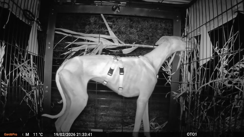 639698461 1506596411473163 4162327085236876904 n