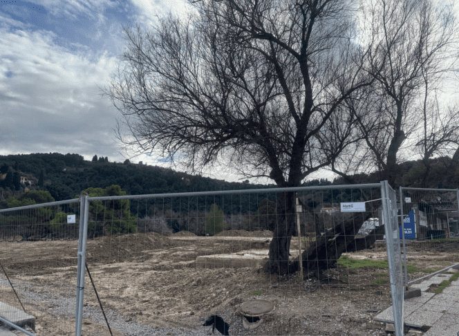 Fiesa bo kmalu zasijala v novi podobi (FOTO) 4 Fiesa