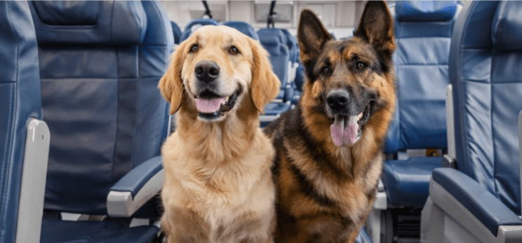 Posnetek zaslona 2026 02 25 161636