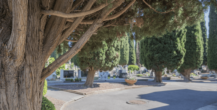 Screenshot 2026 02 02 at 09.55.45