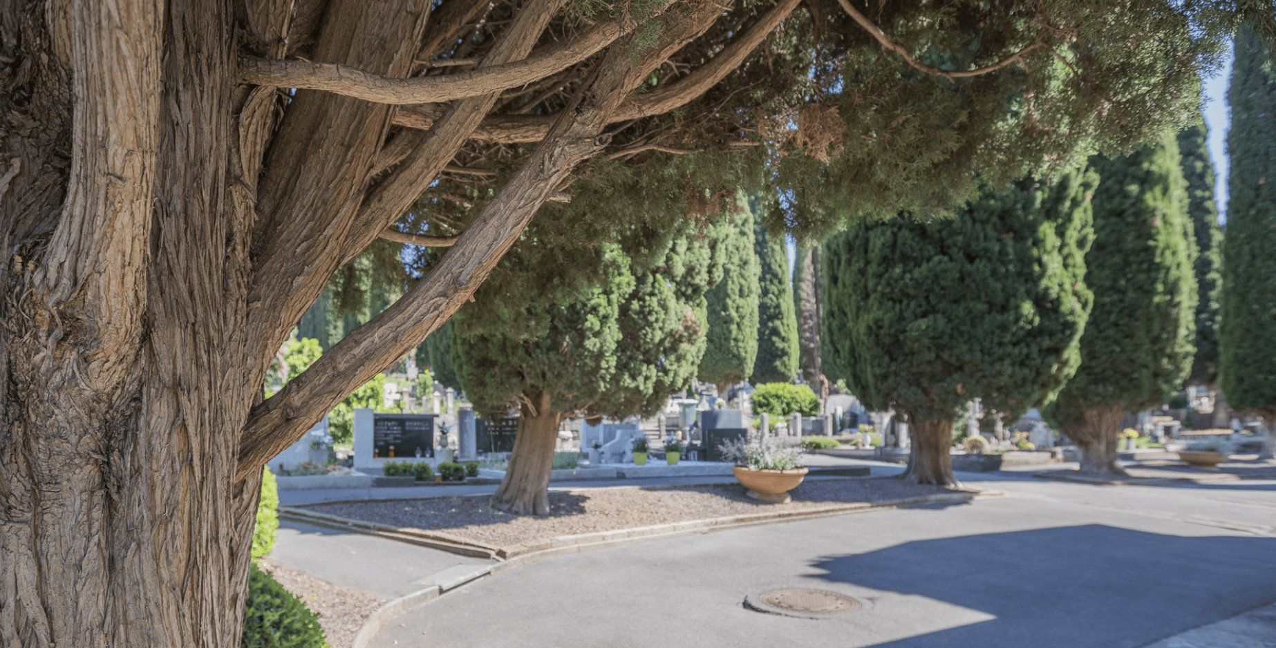 Screenshot 2026 02 02 at 09.55.45