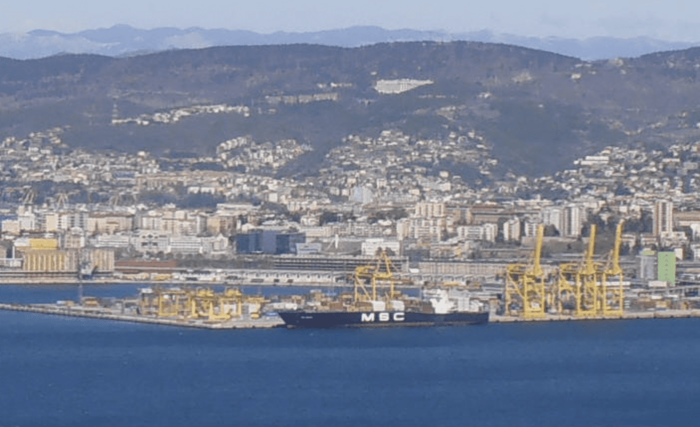 Screenshot 2026 02 13 at 10.45.55