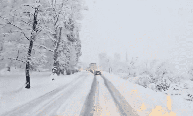 Screenshot 2026 02 20 at 15.00.17