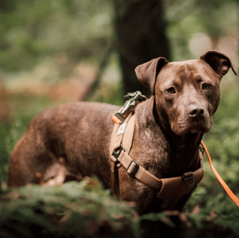 Mesec ljubezni: Prizori, ki nas spomnijo, kaj je v resnici ljubezen 2 ljubezen