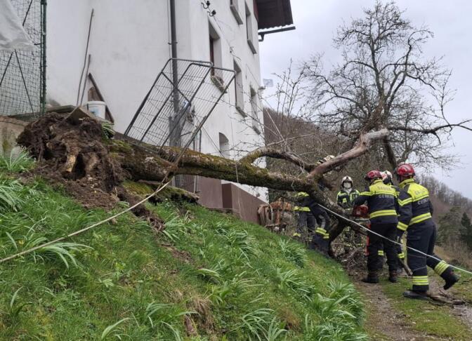 657550921 1243729941257900 6315975600961394967 n e1774543476870