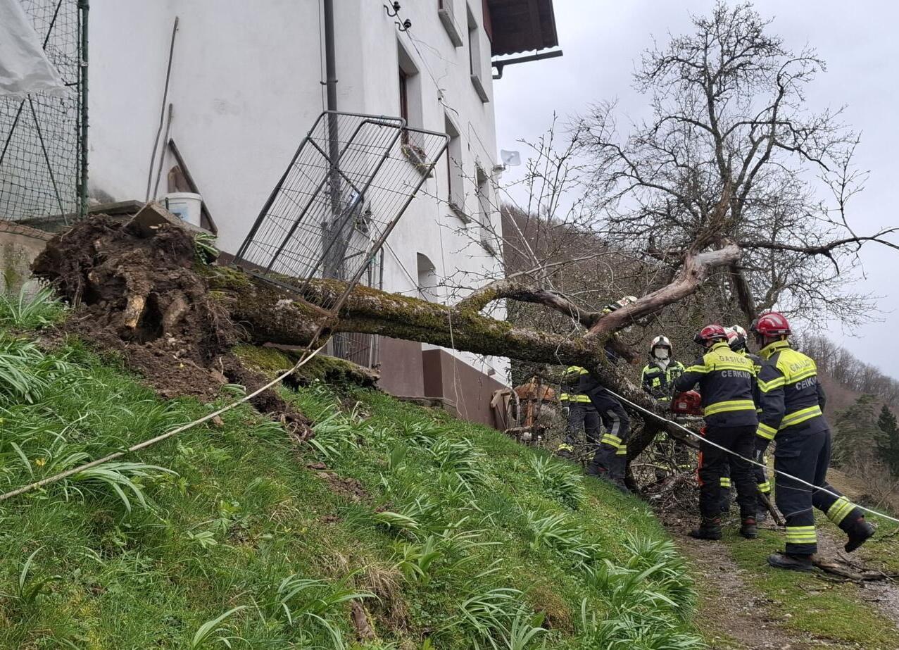 657550921 1243729941257900 6315975600961394967 n e1774543476870