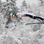 Foto Ziga Zivulovic jr.F.A.Bobo