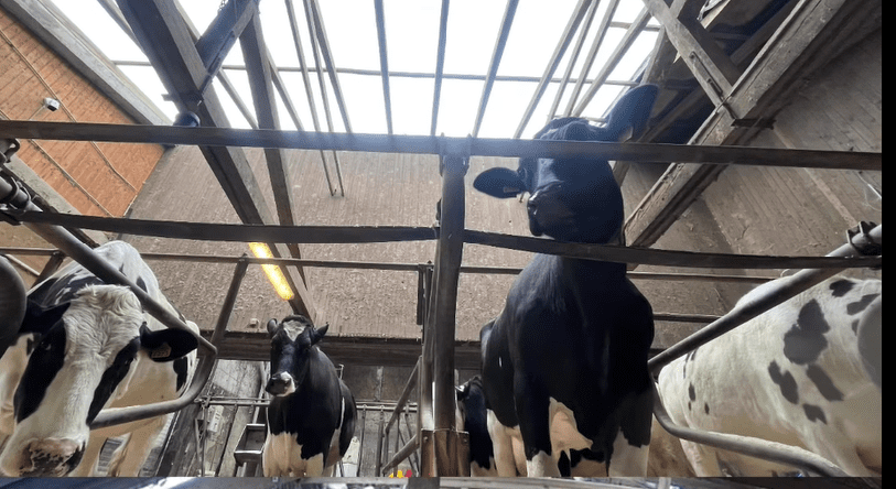 Posnetek zaslona 2026 03 29 082725