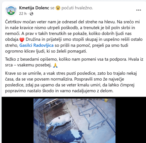 Drama na kmetiji Dolenc: krave v strahu, streha odletela, nato pa solidarnost (VIDEO) 2 krave