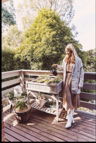 Poslovite se od os in sršenov: te rastline delujejo kot naravna zaščita 3 rastline