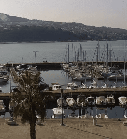 Screenshot 2026 03 03 at 13.49.29