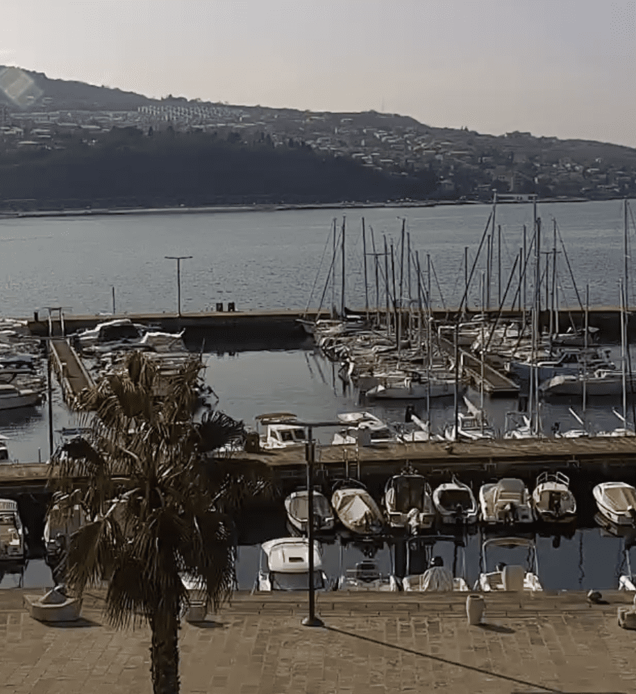 Screenshot 2026 03 03 at 13.49.29