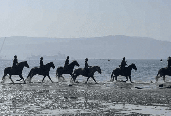 Screenshot 2026 03 11 at 14.01.02 e1773238981242