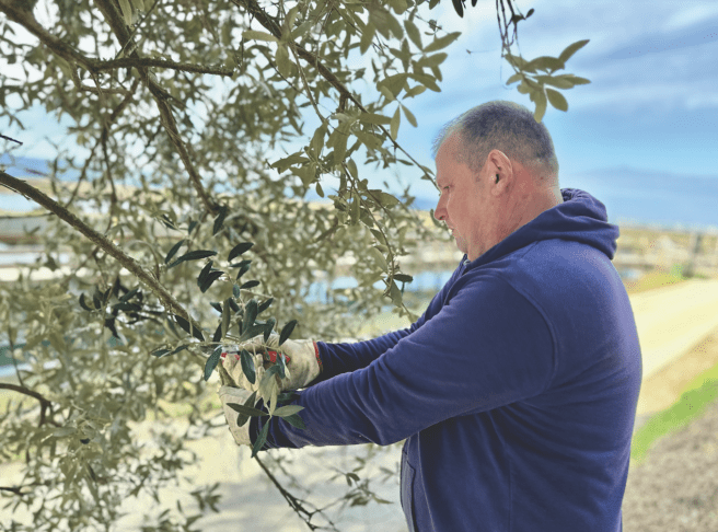 Screenshot 2026 03 18 at 17.42.25